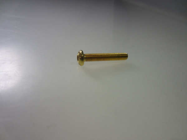 M3x10 Linsenkopfschraube mit Innensechskant 24-Karat Vergoldet